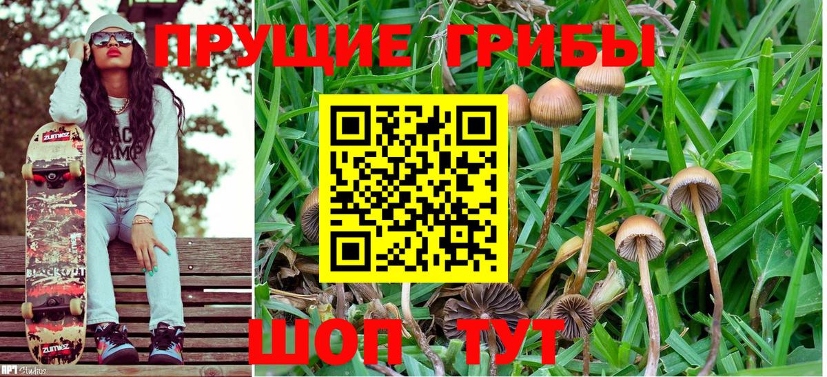 Галлюциногенные грибы Psilocybine cubensis  Вход с VPN  Белореченск 